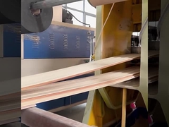 Prenda impermeable de pared de WPC de la fábrica insonora de los paneles y a prueba de humedad directos