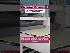 Producto de venta caliente 5MM 8MM Madera Grano Madera Venecería de bambú Carbón de PVC Panel de pared