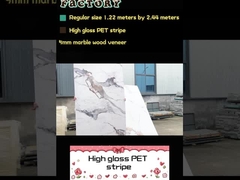 Panel de pared de PVC decorativo Panel de pared de PET