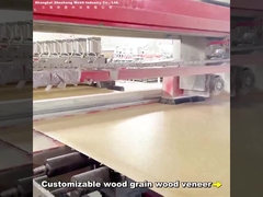 2.44m Tabla de pared de bambú de carbón moderno luz lujosa longitud personalizada tabla de pared de cristal de carbono de PVC